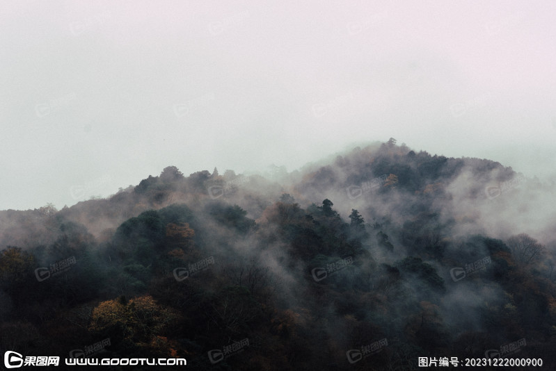 雾气山林树林森林 (23)