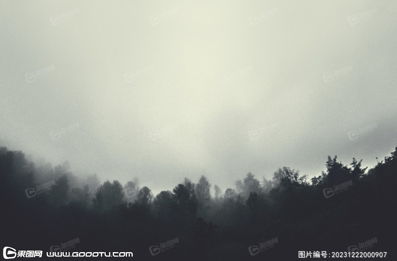 雾气山林树林森林 (30)