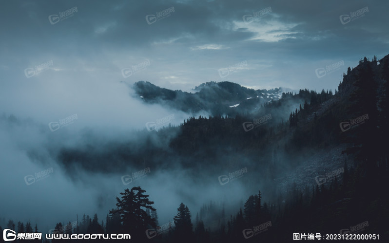 雾气山林树林森林 (74)