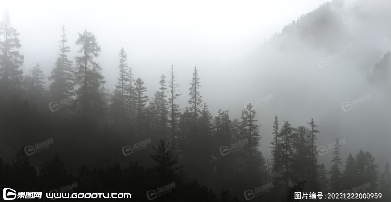 雾气山林树林森林 (82)