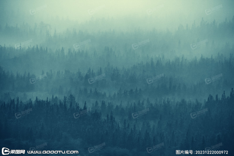 雾气山林树林森林 (95)